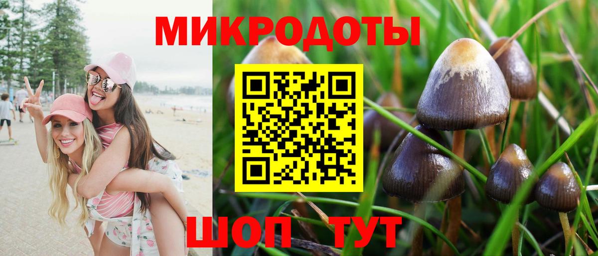 Сальск  Галлюциногенные грибы Cubensis  Вход с VPN 